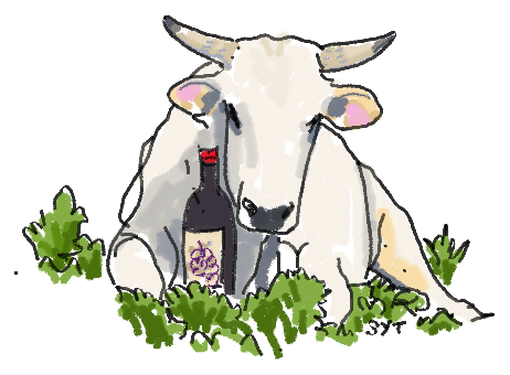 Hand-drawn cow and wine